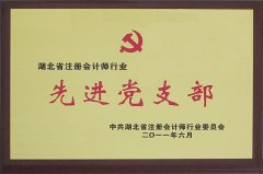 湖北省注冊會計師行業先進黨支部