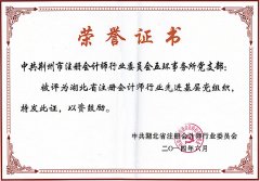 湖北省注冊會計師行業先進基層黨組織